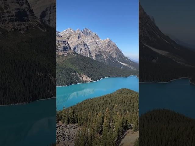 Peyto Lake Blue Water#Short#Alberta#viral