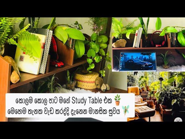 එන්න මගේ Study Table එක බලන්න/ Study with indoor plants and relief stress/ ආසාවෙන් පාඩම් කරන්න