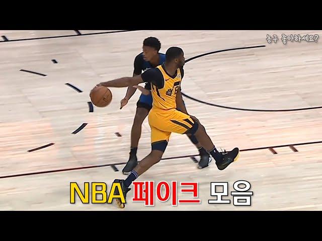 NBA급 페이크란? [NBA하이라이트]