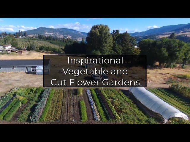 Young Family Creates Abundant Gardens in 2 Years | Inspirational Gardening