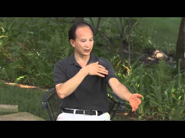 Spring Forest Qigong Demo "How Your Energy System Works"