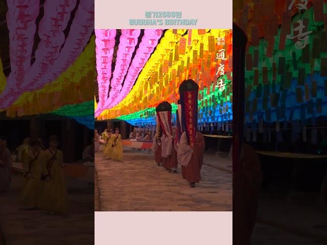 [부처님 오신날] 제등행렬 2탄_25.04.26