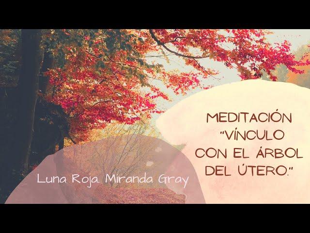 Meditación del árbol del útero, de Miranda Gray.