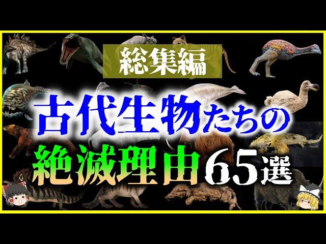 【ゆっくり解説】【総集編】眠れなくなるほど面白い古代生物の「絶滅理由」65選を解説【作業用】【睡眠用】