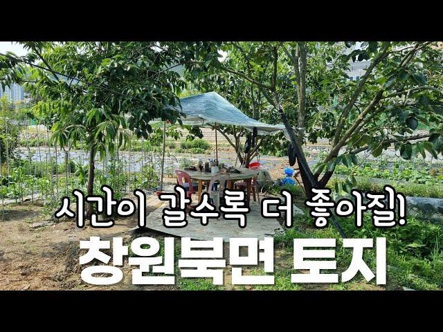 창원북면 토지매매(농막,전기,하우스,물사용까지!시간을 들일수록, 더 좋아질! 창원 북면  감계리 주말농장  토지)
