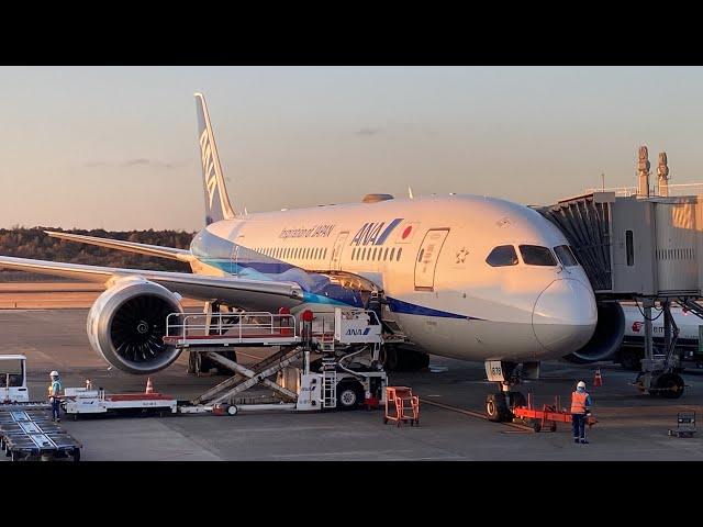 Tokyo Haneda (HND)~ Kumamoto (KMJ) - ANA - Boeing 787-8 Dreamliner - Full Flight