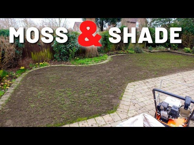 Shaded & Mossy Full UK Lawn Care Rennovation