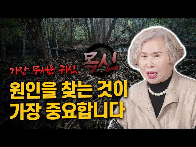 [울산점집 '호산 심보배'] 사례설명 663 - 세상에서 가장 무서운 목신 귀신! 원인을 알아내는 게 최우선입니다 #목신 #귀신 #용한무당