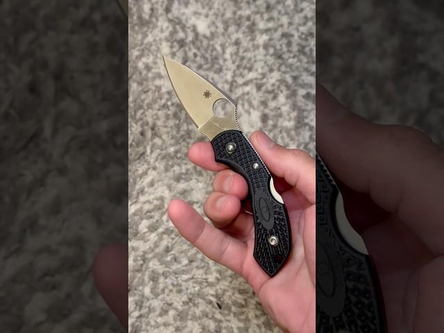 Spyderco Dragonfly Spydie Flick