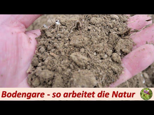 Bodengare - so arbeitet die Natur