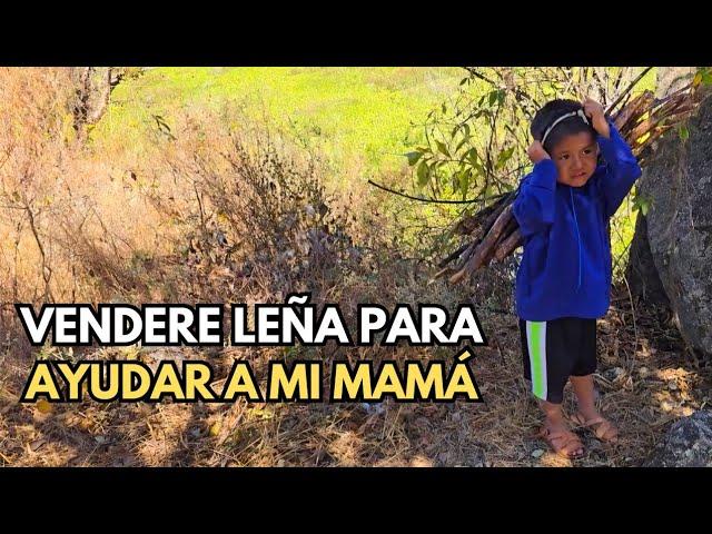 "Quiero vender leña para ayudar a mi mamá"