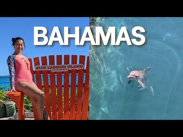 Nassau, Bahamas Dolphin Tour - Blue Lagoon Island - Royal Caribbean Cruise Trip