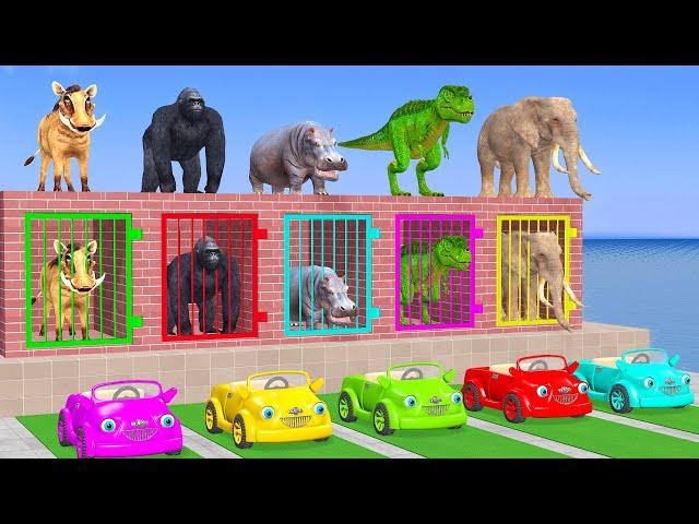 Cow Elephant Gorilla Pig Hippo T-Rex 3d Animal Long Slide Game Funny 3d Paint Animals Cage Game