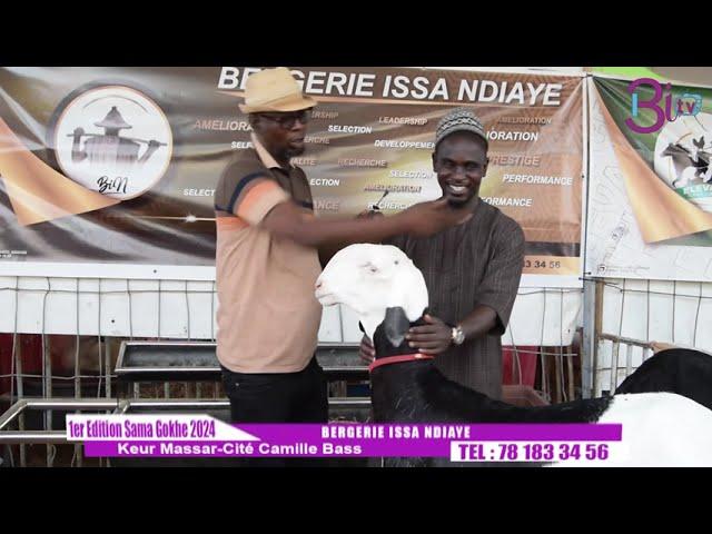 BERGERIE ISSA NDIAYE 1 ÉDITION FOIRE SAMA GOKH ️