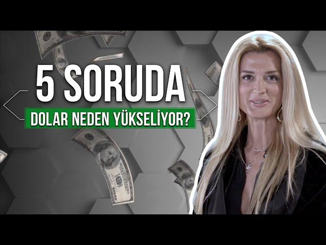 Dolar Neden Yükseliyor? Dolar 20 TL Olur mu?