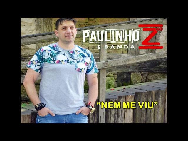 PAULINHO Z   NEM ME VIU