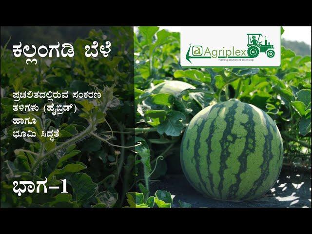 Profitable Watermelon Cultivation | ಲಾಭದಾಯಕ ಕಲ್ಲಂಗಡಿ ಬೆಳೆ