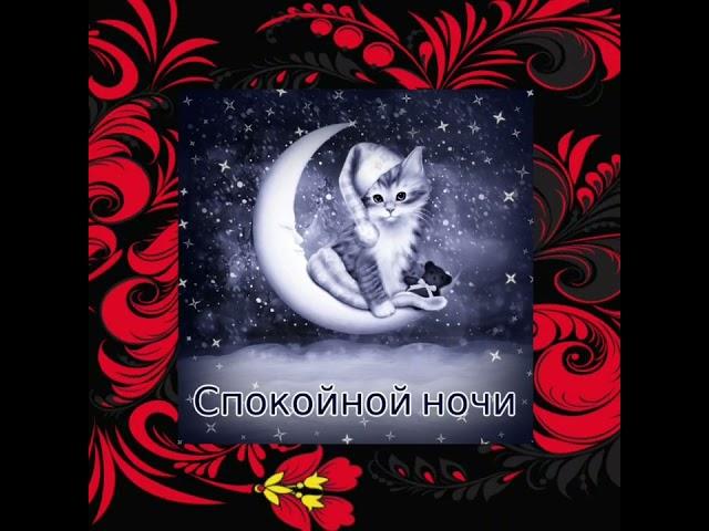 спокойной ночи