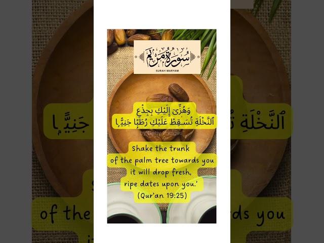 Barakah Bites: 1-Minute Qur’an Superfoods for Kids | Dates – The Fruit of Jannah!