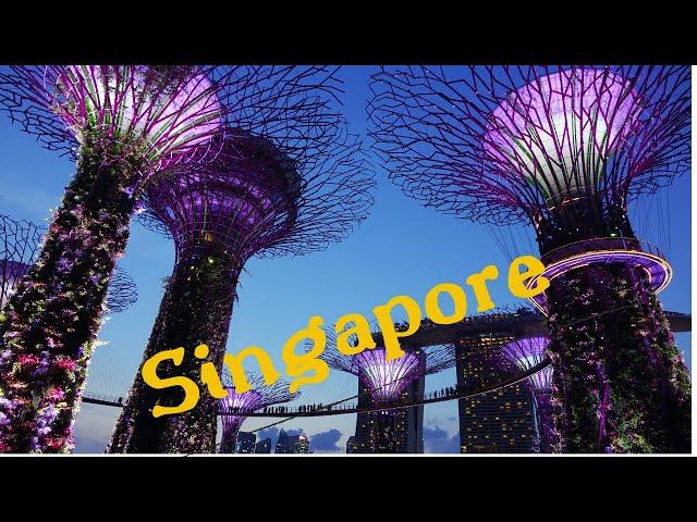 #SINGAPORE #FlowerDome #Supertreegrove Gardens By The Bay Singapore  Part 2