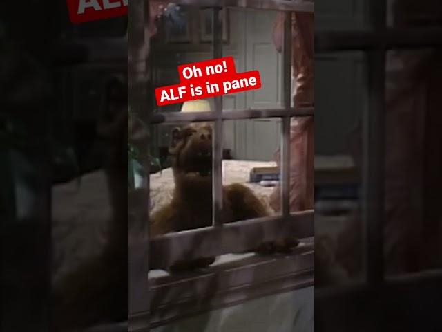 ALF’s plans go out the window  for more mishaps click below!