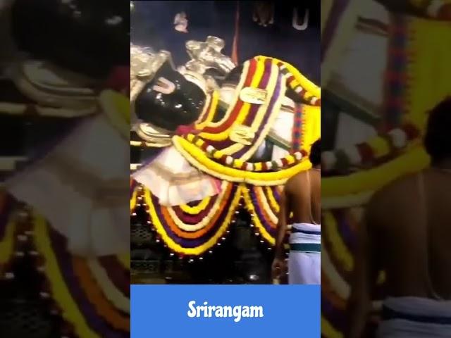 Shri Ranganatha Swamy Temple, Sri Rangam, Tiruchirappalli | Maha Aarati