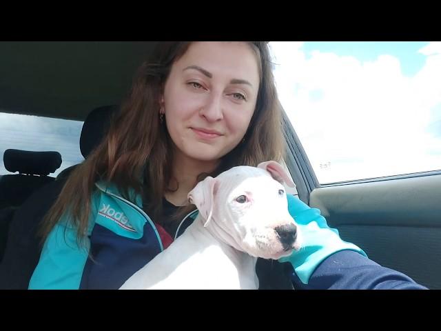 Счастливый день превратился в ночной кошмар, Новый житель нашей семьи заболел