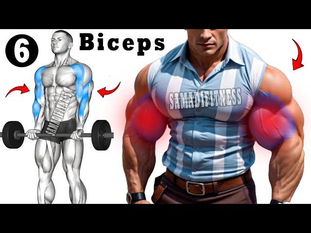 6 Perfect Biceps Workout