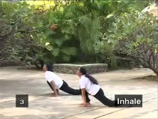 Suryanamaskar - SV150JM