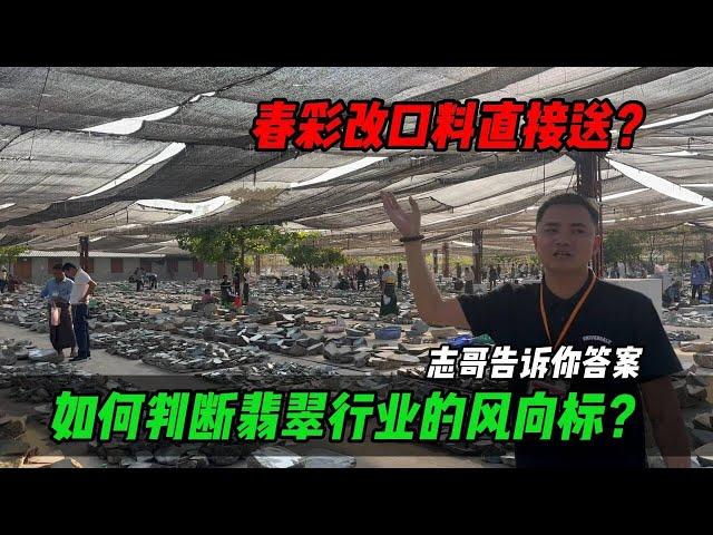 春彩改口料直接送？如何判斷翡翠行業風向標，志哥告訴你答案！#jade #玉 #赌石 #原石 #缅甸翡翠 #珠寶