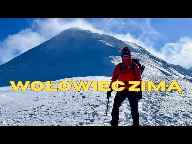 WOŁOWIEC ZIMĄ - TATRY 2024 | DOLINA CHOCHOŁOWSKA - GRZEŚ - RAKOŃ - WOŁOWIEC