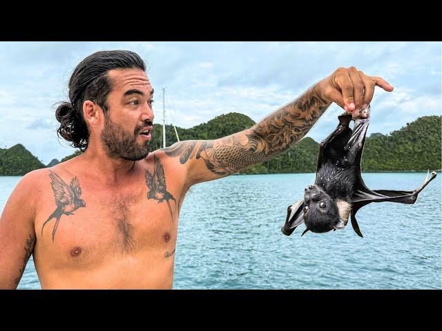 WE RESCUE A BABY BAT IN VANUATU!  (Episode 293)