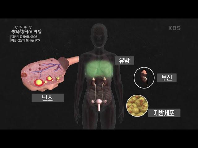 갱년기가 몸에 변화를 일으키는 이유 [생로병사의 비밀] | KBS 210721 방송