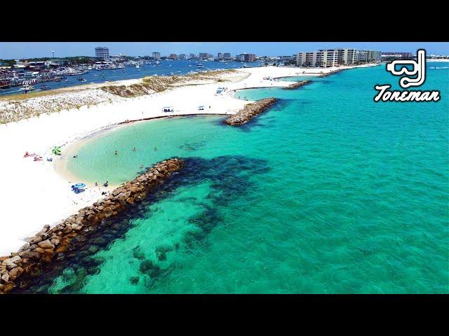 Best Snorkeling in Destin Florida | Sea Turtles, Stingrays and More!