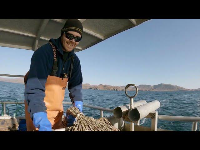 Baiting and Setting Halibut Gear | Alaska Longlining