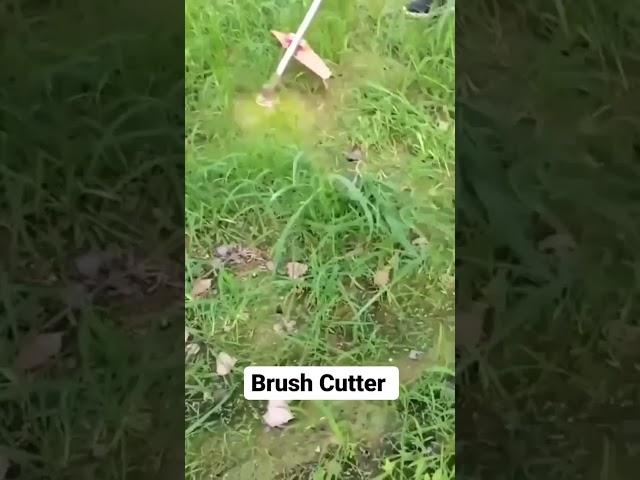 brush cutter machine  ( weed control ).