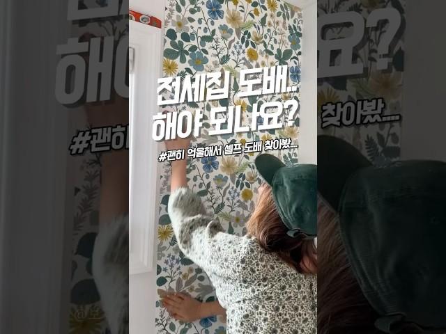 도배해야 보증금 준데요..셀프도배 합니다..#셀프인테리어 #스티커벽지 #후기9천개 #쿠팡추천템 #쿠팡꿀템