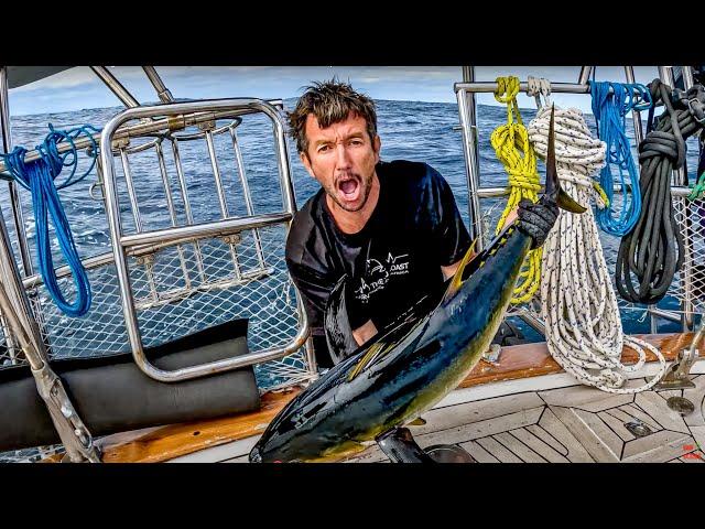 LIFE AT SEA Sailing the SOUTHERN coast of AFRICA! Ep 402