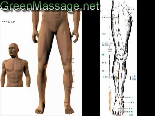 آموزش ماساژ شیاتسو shiatsu massage