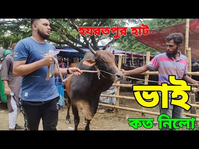 Bhai Koto Nilo 2024 | Hazratpur Cattle Market | Gabtoli Gorur Haat 2024 | Gorur Haat Update p-13