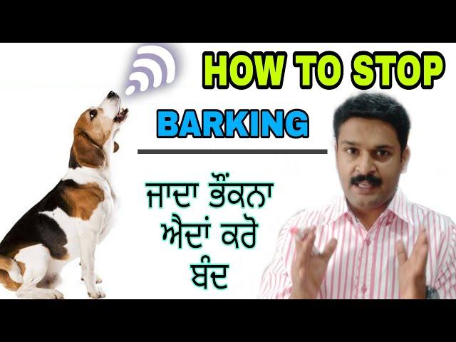 DOG BARKING PROBLEM