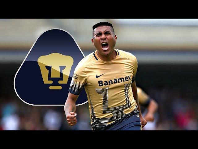 Los 10 Goles de Daniel Ludueña con Pumas