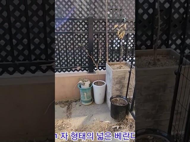 NOㆍ72 경기 오포 양벌 #빌라  #급급매 면적:38평형 매매가격:3억대 방3.욕실2.넓은테라스. #자동어닝설치 #텃밭 *광역버스 라인 *평지 위치 *초.중도보10분