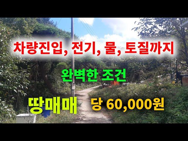 [1262][땅매매] 차량진입, 전기, 물, 토질까지 다양한 농작물을 재배 할 수 있는 최적의 조건