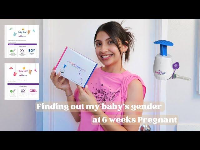 Sneak Peek Gender Early DNA Test At 6 Weeks Pregnant | Step By Step + Gender Results