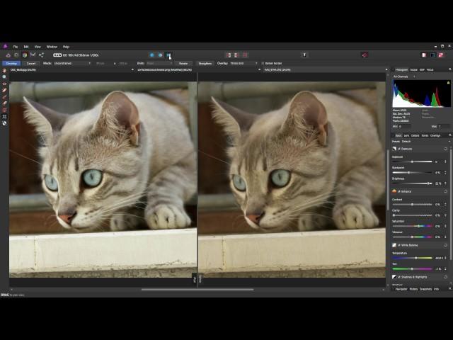 Affinity Photo - An Introduction to the Histogram and Scopes