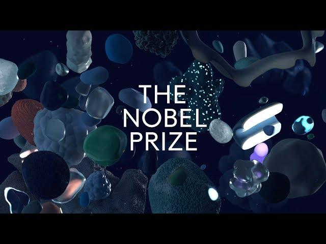 Stockholm Design Lab creates "timeless" visual identity for Nobel Prize