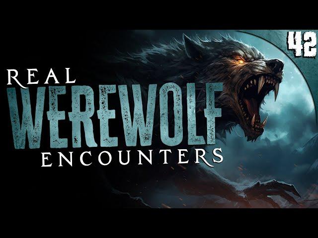 42 WEREWOLF & DOGMAN Encounters (COMPILATION)