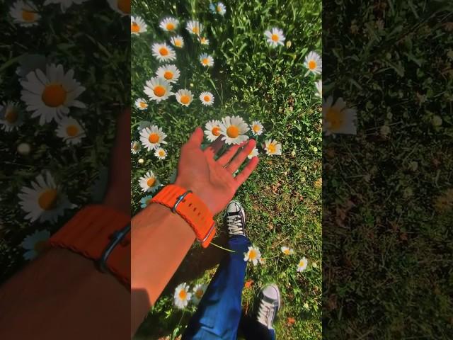 …