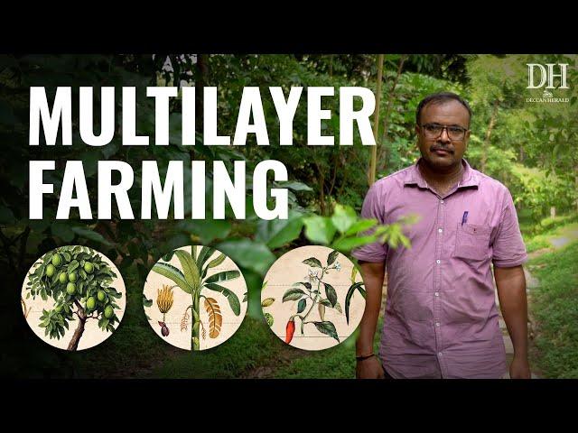 How multilayer farming made this farm profitable